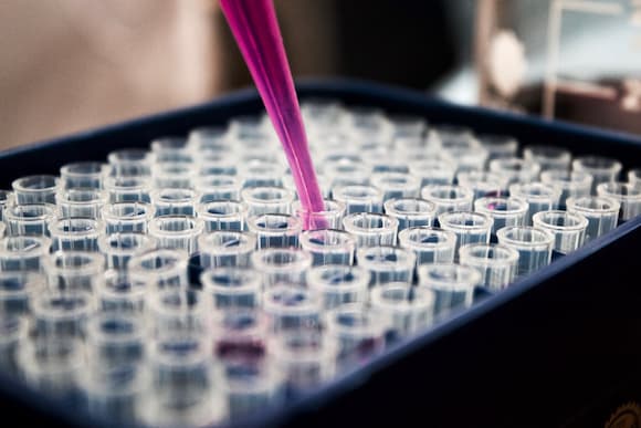 Photo of a Laboratory