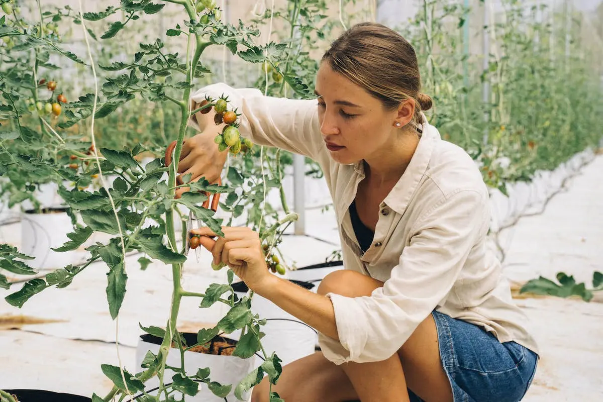 Blog 4 Content Pruning for Better SEO