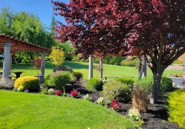 Manicured landscape with red Japanese maple tree, flowering shrubs, and green lawn in Blackhawk, CA
