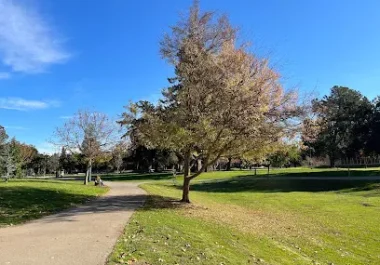 Cuesta Park in Mountain View with tree-lined pathways and green lawn
