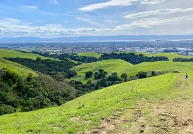 Rolling green hills and valleys in Garin Regional Park, Hayward, California