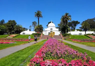 Golden Gate Park Conservatory of Flowers with pink flowers and palm trees, San Francisco