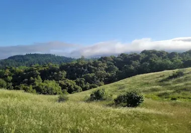 Rolling green hills and forested ridges at Monte Bello Open Space Preserve