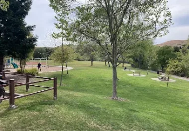 Red Willow Park in San Ramon with green lawn, trees, and picnic tables