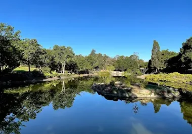 Calm pond reflecting trees and blue sky at Sharon Park in Menlo Park