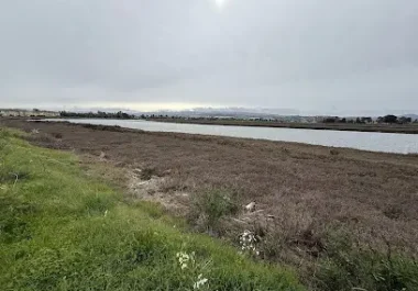 Wetland landscape with waterway and green vegetation in Redwood City area